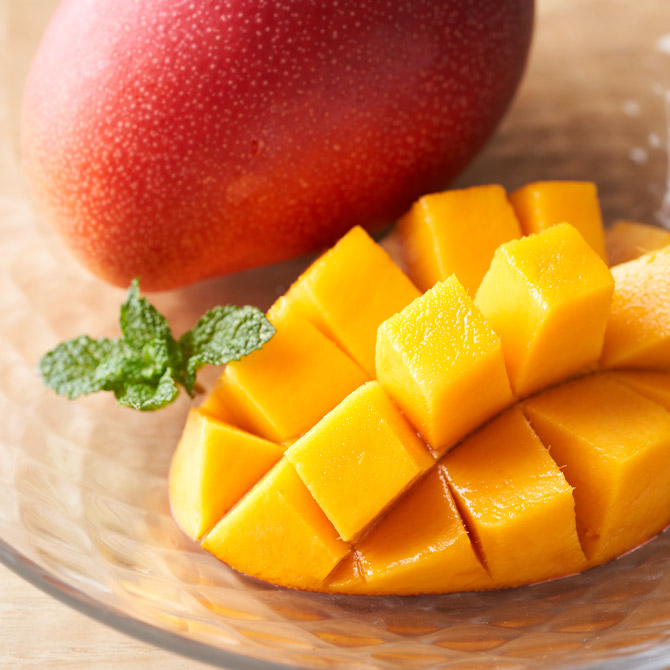 ユウエス工業宮崎,ユウエス工業,外構工事宮崎,エクステリア工事,新築外構工事,西都市外構工事,宮崎外構工事,エクステリア工事,透水性コンクリート,